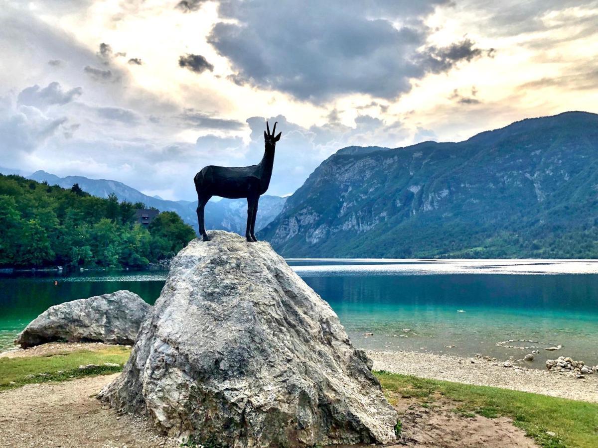 Apartments Green Paradise Bohinj Dış mekan fotoğraf